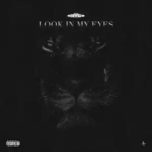 Ace Hood - Look In My Eyes